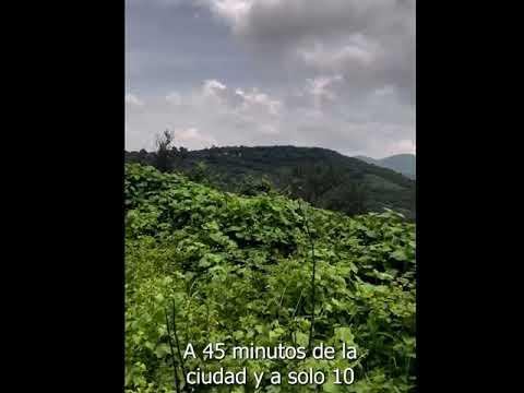 Previsualización de video