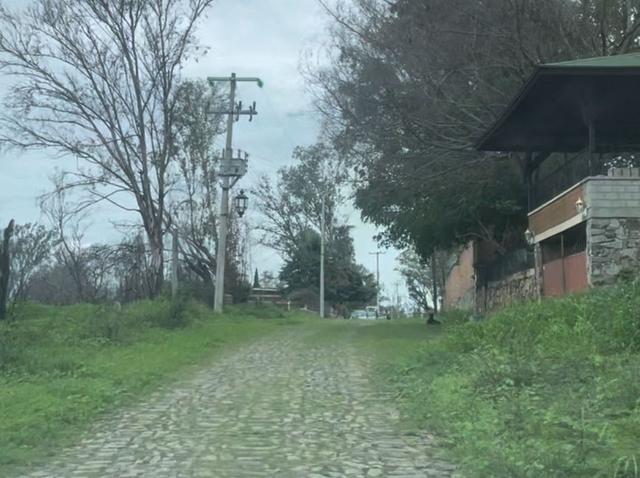 Foto de la galeria de imagenes